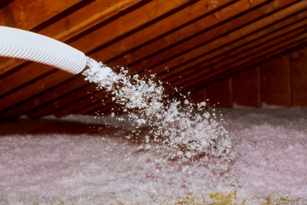 Best Energy Efficiency Solutions in Lorane, PA